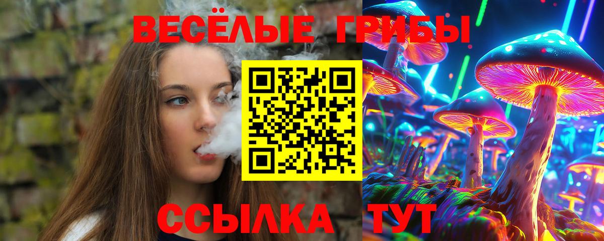 Барнаул  Псилоцибиновые грибы Psilocybe  Вход с VPN 